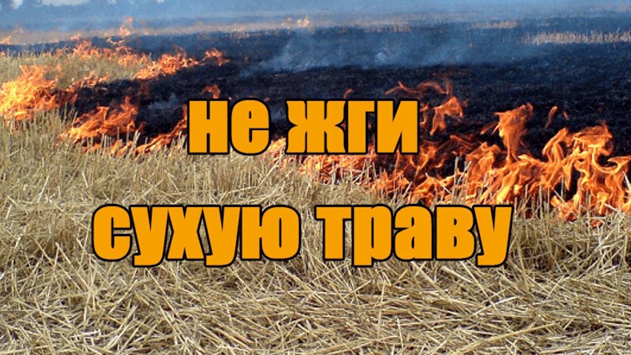 Пал сухой травы может статьо причиной большого пожара