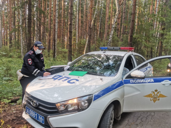 Загрузка картинки...