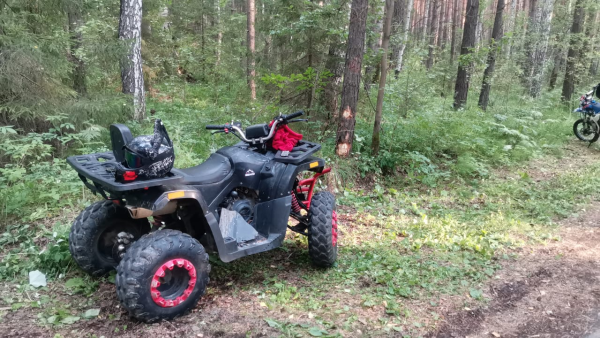 Загрузка картинки...
