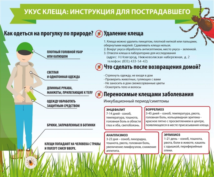 Загрузка плаката...